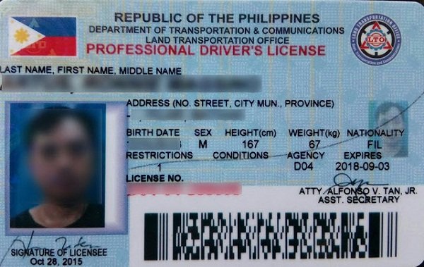 Professional Driver's License