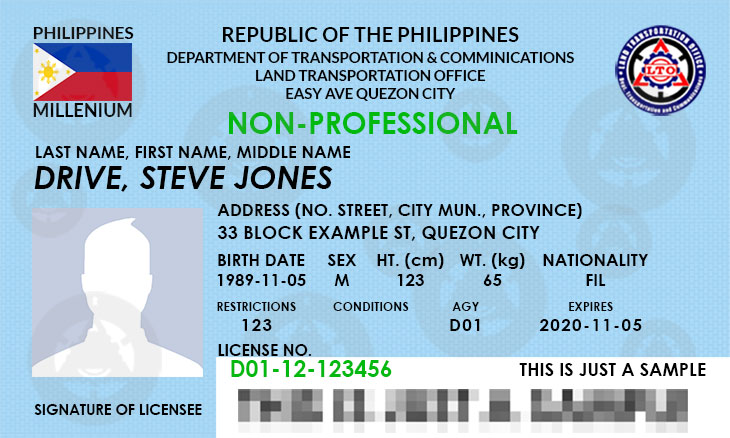 Non-Pro Driver’s License