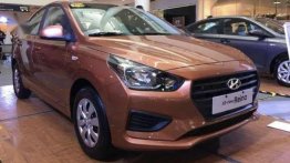 Brown Hyundai Reina for sale in Paranaque City