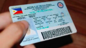 Professional and non-professional driver's license: What's the difference?